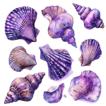 Cute Purple Shells Stationary Sticker Oil Painting Shells Purple