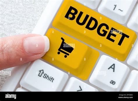 Conceptual Display Budget Business Overview Defined Estimate Of Income