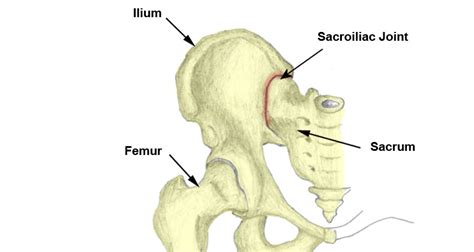 Sacroiliac Joint pain - Symptoms, Causes, Treatment & Exercises