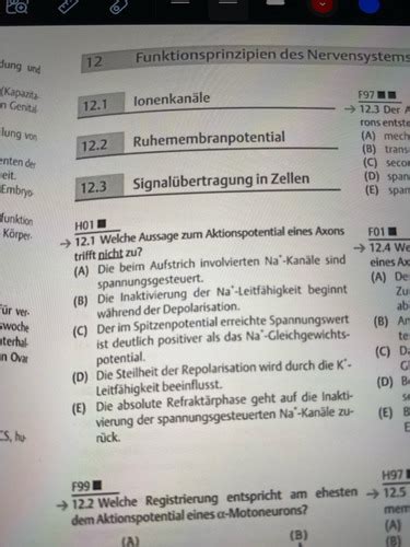 Nervensystem Karteikarten Quizlet