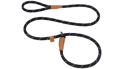 Best Dog Leashes for Ultimate Control and Comfort - Top Picks!