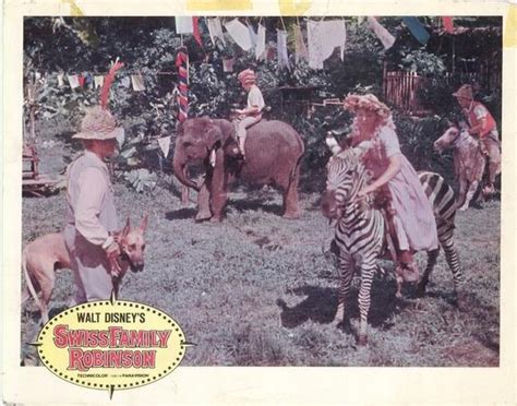 36 best images about Swiss Family Robinson 1960 on Pinterest | Disney, Pets and The world