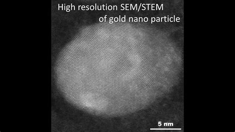 Materials Ultrahigh Resolution SEM STEM Of Gold Nano Particle YouTube