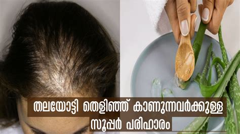 തലയോട്ടി കാണും പോലെ മുടി പോവുന്നോ മുടി ഇട തിങ്ങി വളരാന്‍ ആഴ്ചയില്‍ രണ്ട് തവണ Diy Hair Mask