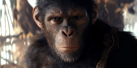 Kingdom Of The Planet Of The Apes Sets Record Runtime For The Entire