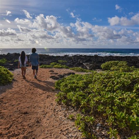 Shaka Guide Oahu Audio Tours Qué Saber Antes De Ir Actualizado 2024