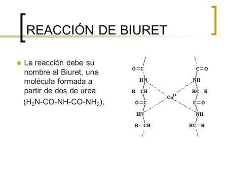 Practicas De Laboratorio De Bioquimica Reaccion De Biuret Punto Isoelectrico