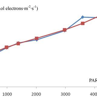 Rapid Light Curve Of Chlorophyll Fluorescence In I Rubescens Leaves