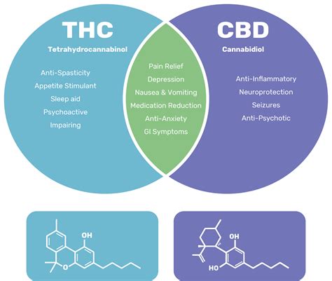 Thc And Cbd Cannabis Learning Centre Greenleaf Medical Clinic