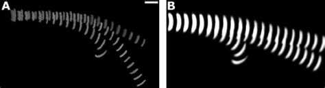 Hypotrochoid Trajectories Resulting From Controlling Wave Propagation