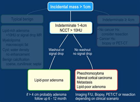 Characterization Of Adrenal Lesions Adrenal Adenoma Ct Protocol Access Top Templates For