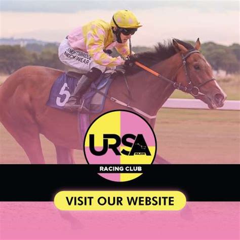 Racehorse For Sale Racehorse Listings Racehorse Uk