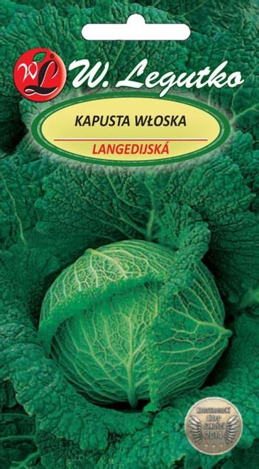 Kapusta W Oska Langedijska P Na Smaczna L