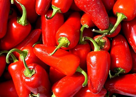 Red Jalapeno Peppers Photograph by Katy Hawk - Fine Art America