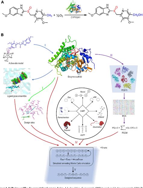 Figure 1 From Computational Redesign Of Cytochrome P450 CYP102A1 For