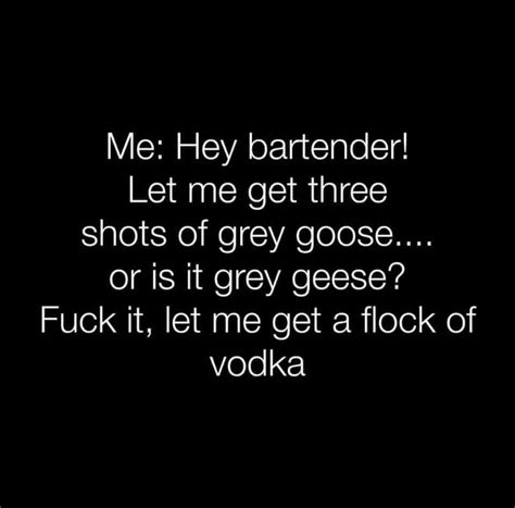 Grey Goose Alcohol Quotes Funny Drinking Quotes Alcohol Quotes