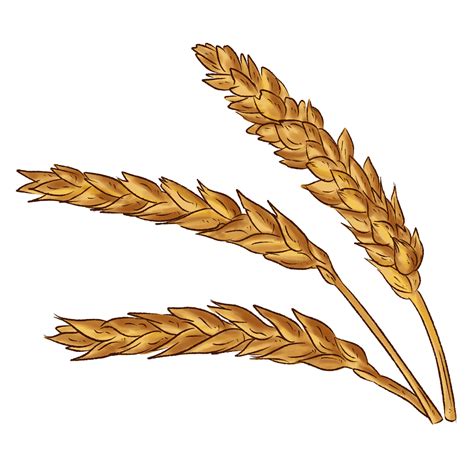 Wheat Clipart Free Png Images Clipartlib