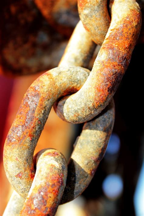 Free Images Texture Chain Old Rust Food Link Close Up Macro