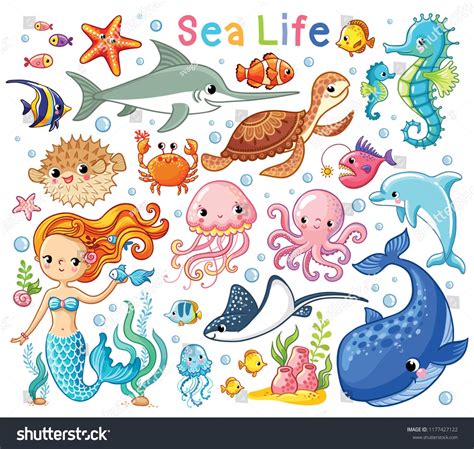 Mermaid Cartoon Sea Creatures Underwater Drawing