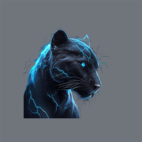 Male Black Panther Digital Art by JKDesignCreators - Fine Art America