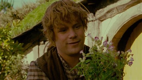 Hobbits' Mushroom Obsession Barely Made It Into The Lord Of The Rings Films