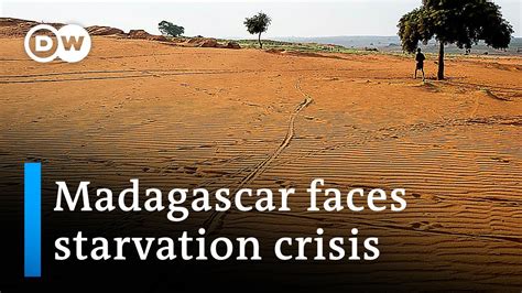 Madagascans Face Starvation Amid Droughts Dw News Youtube