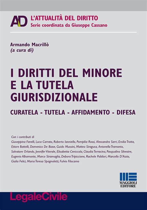 I Diritti Del Minore E La Tutela Giurisdizionale Armando Macrill