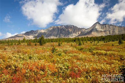 Tonquin Valley Trail Guide - Jasper National Park - Nomadic Moments