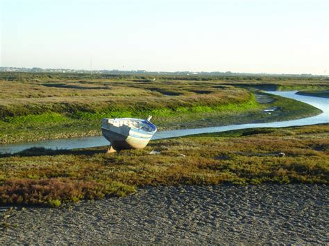 El Parque Natural De La Bah A De C Diz Nuestro Guardi N