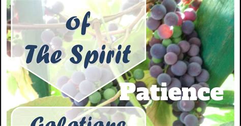 A Shepherd's Heart: The Fruit of The Spirit - Patience