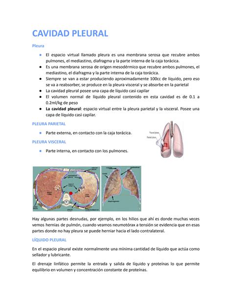 Solution Cavidad Pleural Studypool