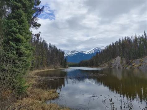 10 Best Mountain Biking Trails in Jasper | AllTrails