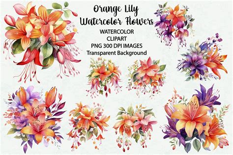 Orange Lily Flower Watercolor Clipart Graphic By Siatia Creative Fabrica