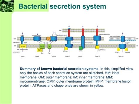 Chapter 3 Microbiology 8th Edition