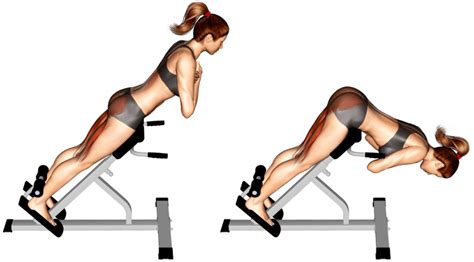 45 Degree Hyperextension Strengthen Your Back And Glutes Fitness Volt