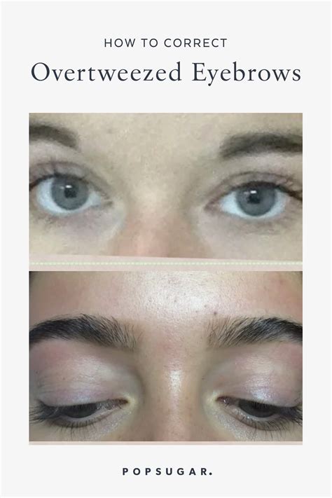 How To Grow Back Overplucked Eyebrows Artofit