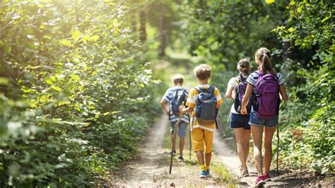 Caminatas y meditación otra forma de educación ambiental y emocional