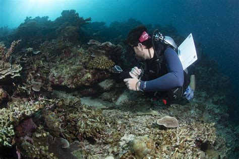 PADI E GoPro Lanciano LEvolution Video Contest Articolo Su Scubaportal