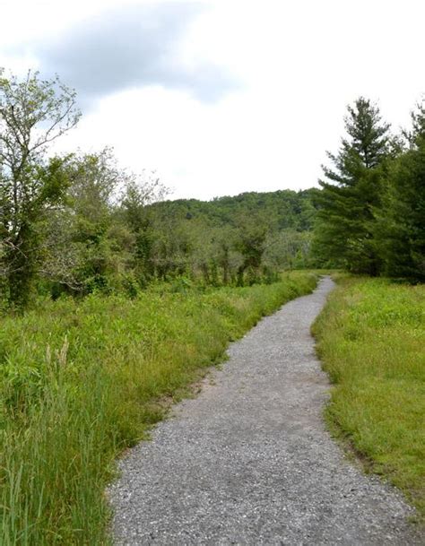 Blue Ridge Parkway Julian Price Memorial Park Picnic Area Kids In