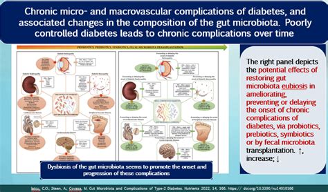 Gut Microbiota & Diabetes/Metabolic Health - What Physicians Must Know ...