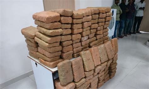 Cyberabad Cops Seize 360 Kg Ganja Worth Rs 80 Lakh