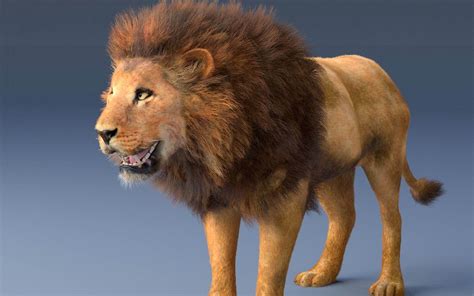 Lion With Fur 3d Model By 3dstudio