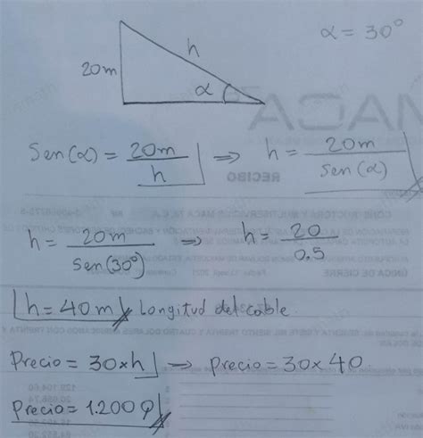 Solved Se Desea Sujetar Un Poste De Metros De Altura Con Algebra