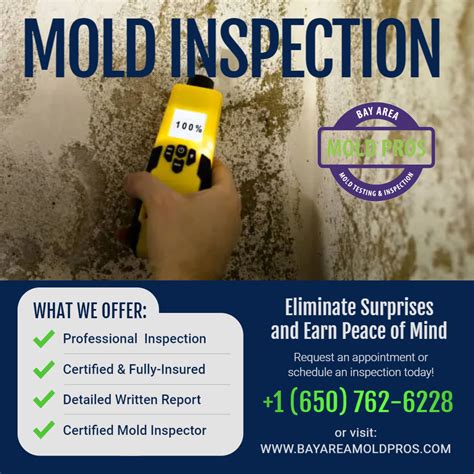 A Comprehensive Guide To Mold Inspection Testing And The Importance