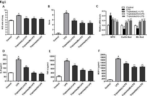 Figure 1 From Triptolides Anti Inflammatory Effects On ARDS By Down