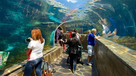 5 Best Zoos In The World Details Nature Speakz