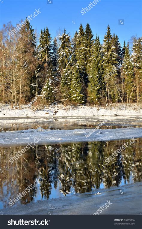 Gauja River Valley Winter Landscape Sigulda Latvia Stock Photo