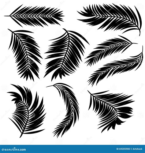 Palm Leaves Silhouette stock vector. Illustration of element - 69205900