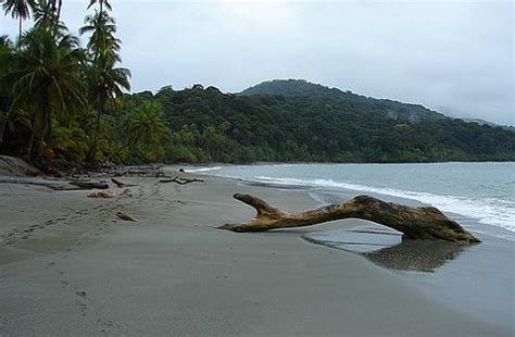 Gorgona Island (Isla Gorgona), Colombia: Travel Guide