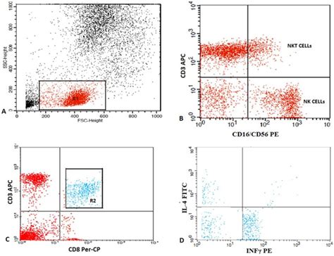 Flow Cytometric Detection Of Nk Nkt Cells And Subtypes Of T Cytotoxic Download Scientific